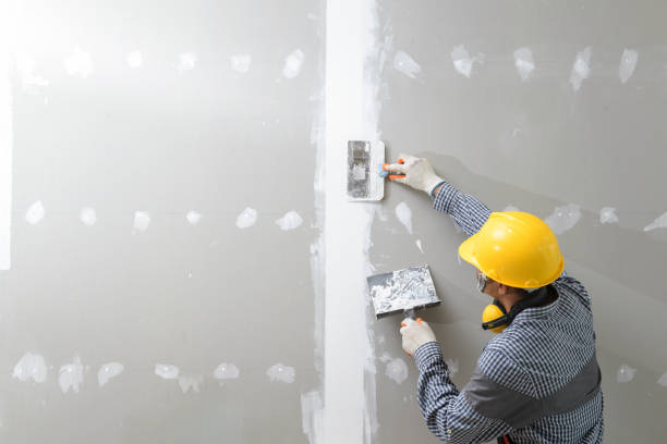 Asbestos and Lead Testing During Mold Inspection in Colonial Park, PA