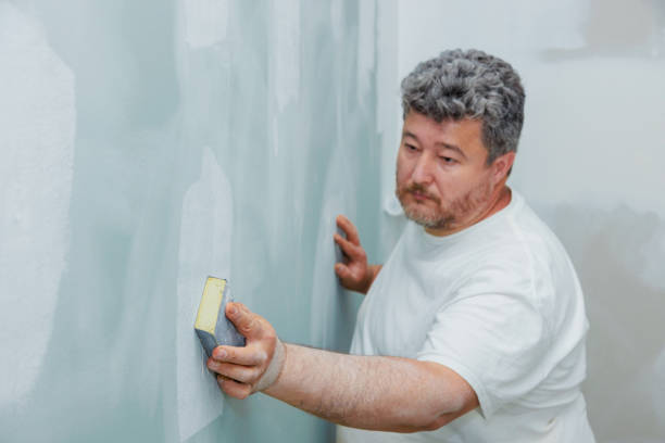 Best Mold Remediation for Healthcare Facilities  in Colonial Rk, PA